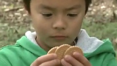 日本群星 - 童谣