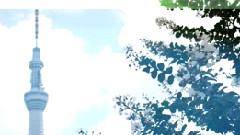 初音未来 - スカイツ