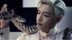 BigBang - Somebody To Love