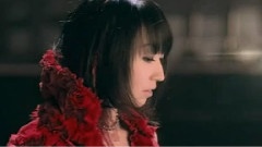 水树奈奈 - Scarlet Knight