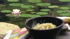 U-KISS - Namul Vegetable Side Dishes