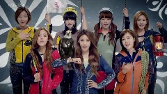 T-ara - WILDROSES CF 15s