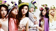 Hello Venus - Venus