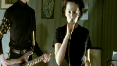 The Standards - Just Raise A Smile