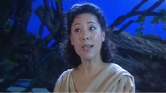 关牧村 - 阿妹的心