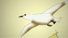Pilot Speed - Alright