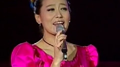 谭晶 - 腾冲演唱会
