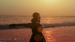 Metis - only one ~