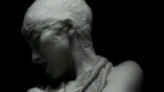 TRF - OPEN YOUR MIND