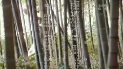韩雪 - 还有好多话没说 电视剧<淑女之家>片尾曲