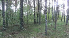 音乐短片 - Remembrance