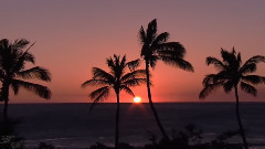 音乐短片 - Moments Of Solitude