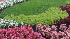 音乐短片 - With You