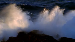 音乐短片 - Ludwig Van Beethoven - Piano Sonata