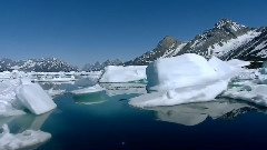 音乐短片 - J.S.Bach - Ich ruf zu dir,Herr Jesu Christ,BWV 639