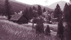 音乐短片 - Night Sky