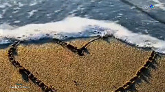 音乐短片 - Love Is The Ocean (Beautiful Love Song)