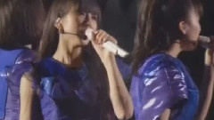 Perfume - Display