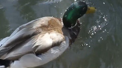 音乐短片 - Water's Edge