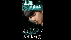 TFBOYS,王源 - 2014王源庆生星源解放碑LED应援三