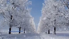 音乐短片 - 和平