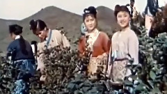 影视原声 - 採茶歌