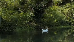 音乐短片 - 每一句说话