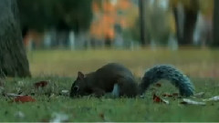 音乐短片 - For You Alone