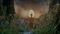 音乐短片 - Tangerine Dream