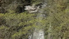 音乐短片 - Origins