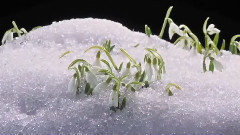 音乐短片 - Good Morning