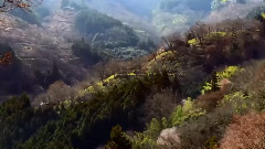 音乐短片 - The Beauty Of Spring