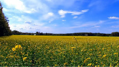 音乐短片 - Paisajes Muy Hermosos