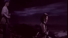 华语群星 - 你是我心上的花 电影<阿诗玛>插曲