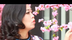 原创,华语群星 - 你的眼神