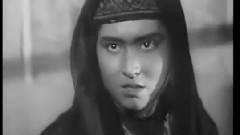 华语群星,影视原声 - 花儿为什么这样红