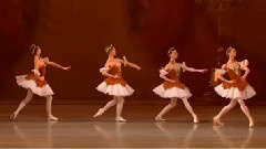 舞蹈视频 - Victoria Tereshkina - Paquita