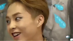 EXO - MBC Section TV EXO Cut