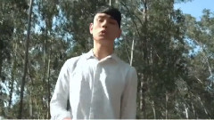 华语群星 - 梦