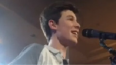 Shawn Mendes - Life Of The Party