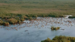 音乐短片 - Green Life