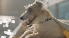 音乐短片 - A Whole Vacation