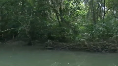 音乐短片 - 水径