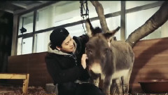 GOT7 - 王嘉尔,生日快乐,你值得被更多人喜欢