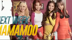 Madonna,MAMAMOO - Ahh Oop! 下周回归预告