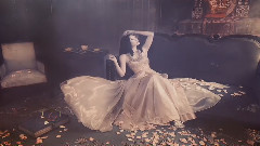 音乐短片 - Andre Rieu - Romance for Clara