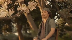日本群星 - 桜