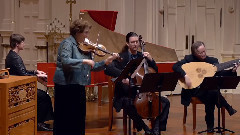 音乐短片 - Sonata Prima