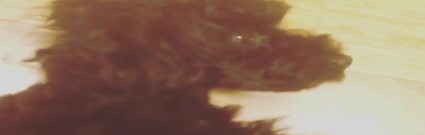 太妍(少女时代),少女时代 - 泰妍instagram with金泽 13/08/08