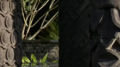 音乐短片 - World Swim Suit